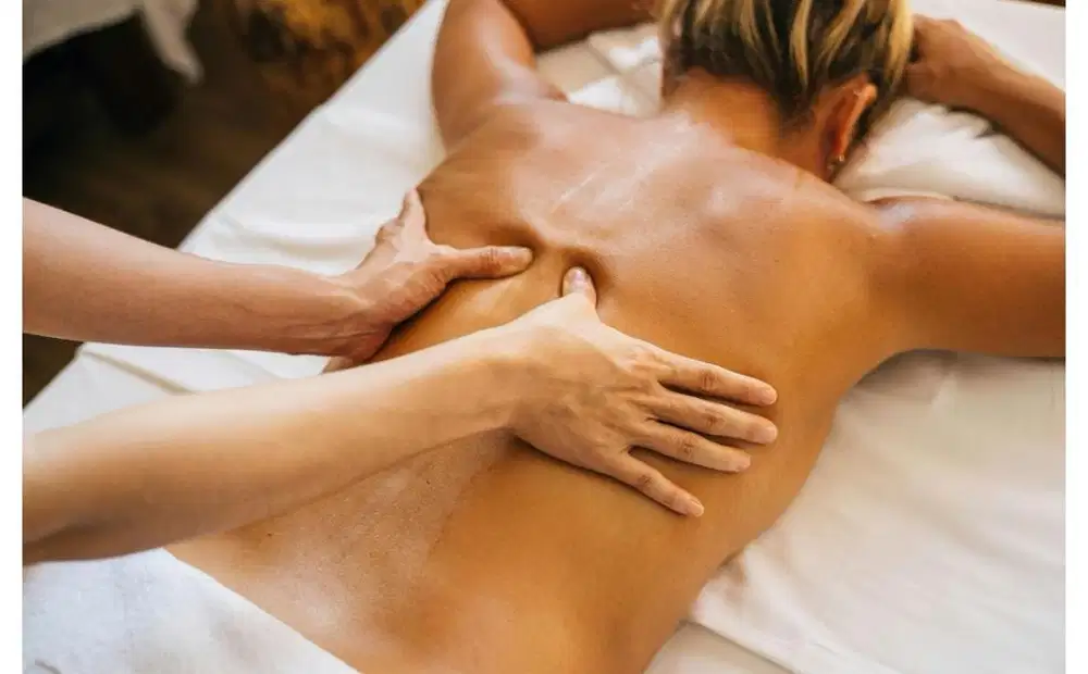 terapist non plus plus