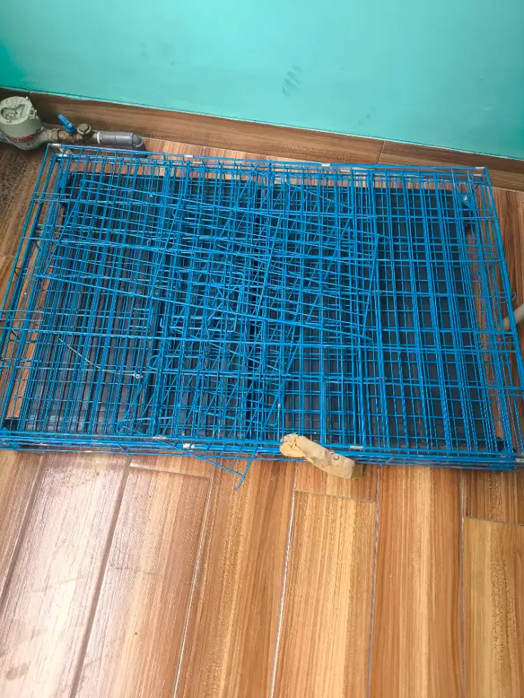 Kandang kucing bekas