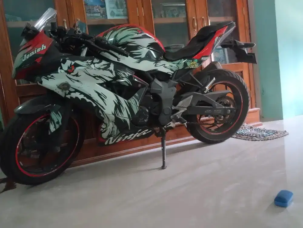 Kawasaki Ninja 250 Mono