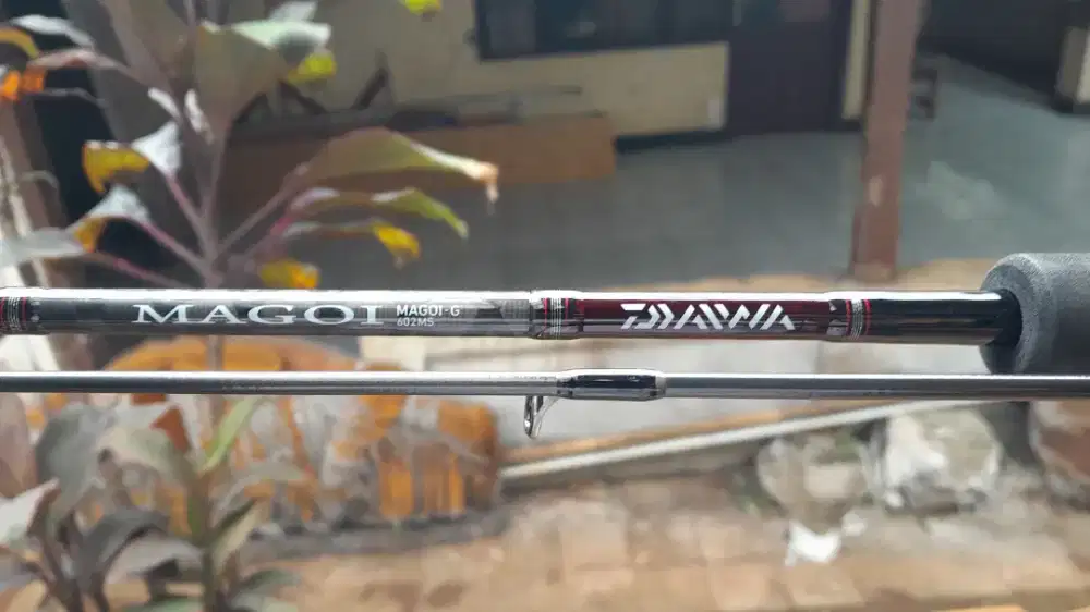 Set pancing Daiwa magoi X Ryobi ranmi