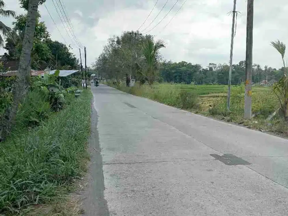Dijual sawah di pinggir jalan raya manisrenggo kemalang