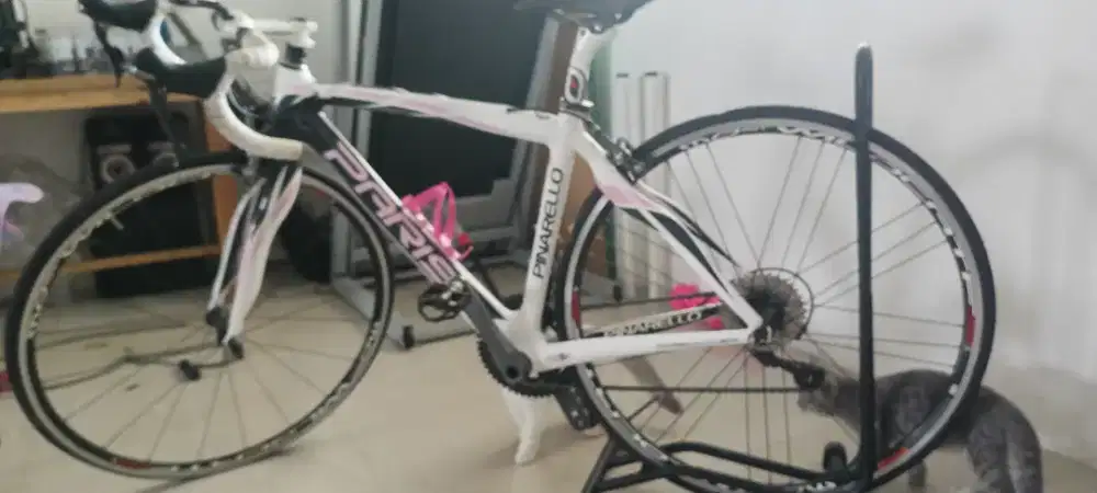 Pinarello Paris original size 42