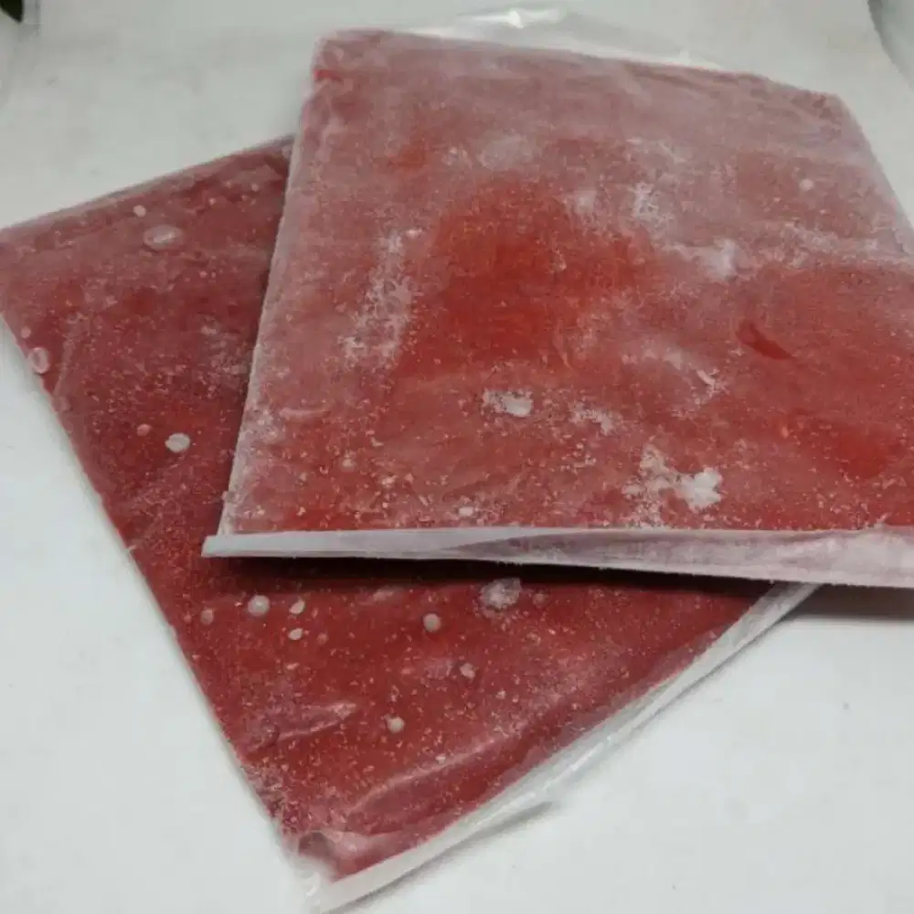 Burger ikan discus dan louhan berkualitas