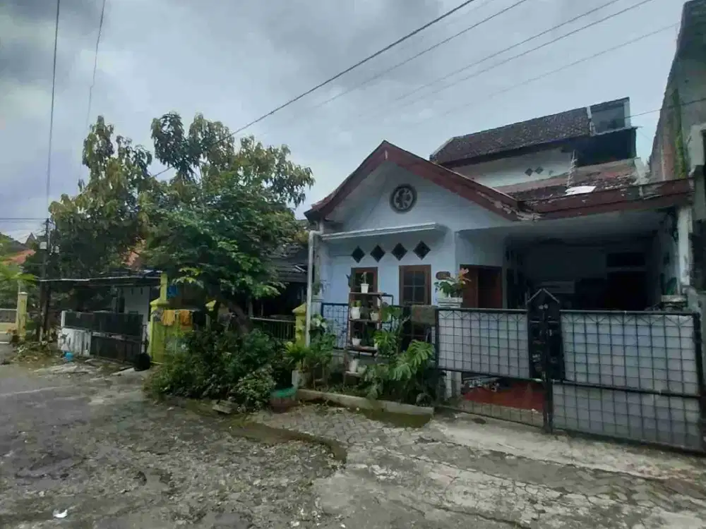 rumah murah bagus jika dienov jadi kos di embong anyar depan kampus unmuh dan sengkaling