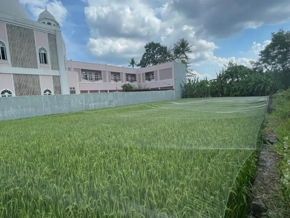 2 Menit Kampus UAD 3, Dijual Kavling Dalam Ring Road