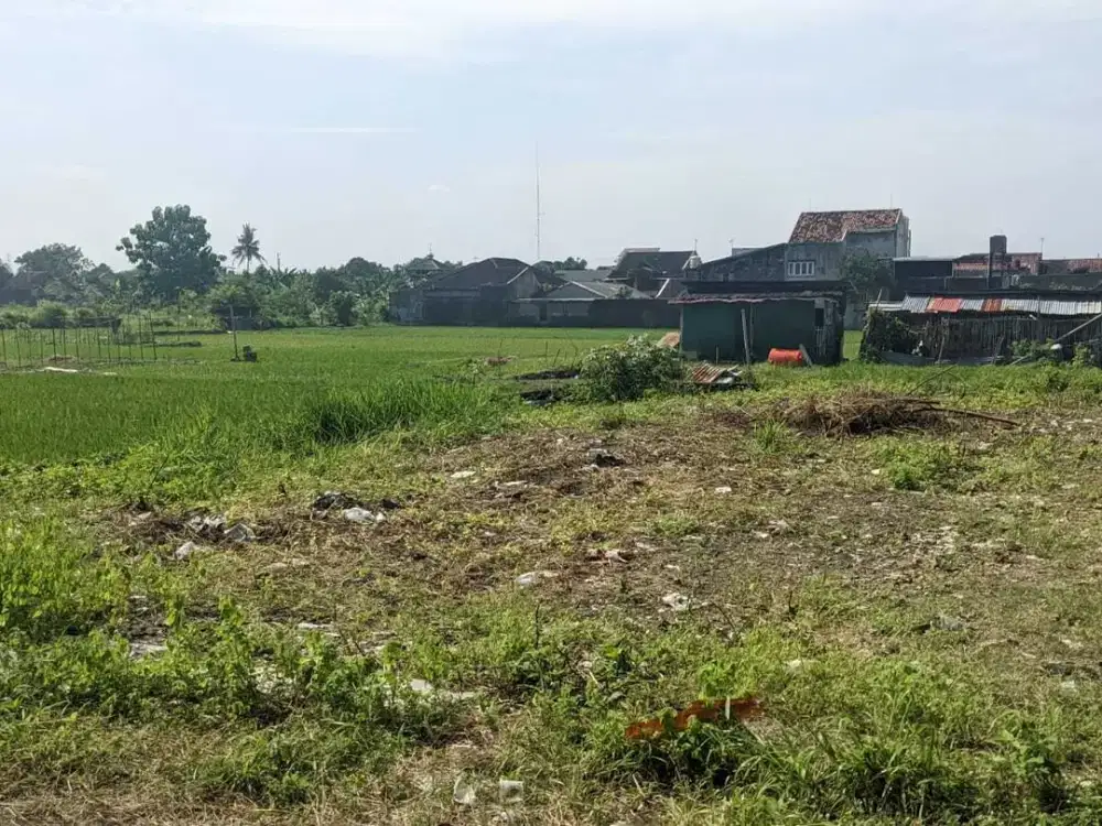 Tanah Jambon dekat Perumahan Nogotirto tepi aspal