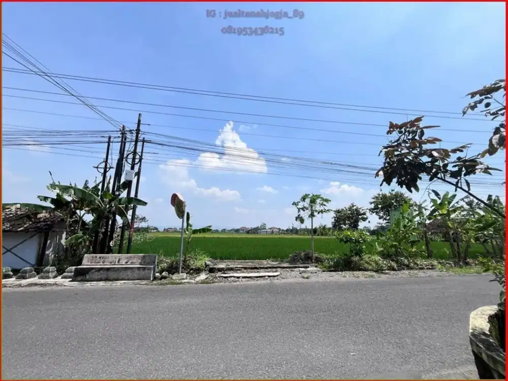 Terbaik dekat Kampus UNRIYO dan BUDI MULIA tanah sambiroto