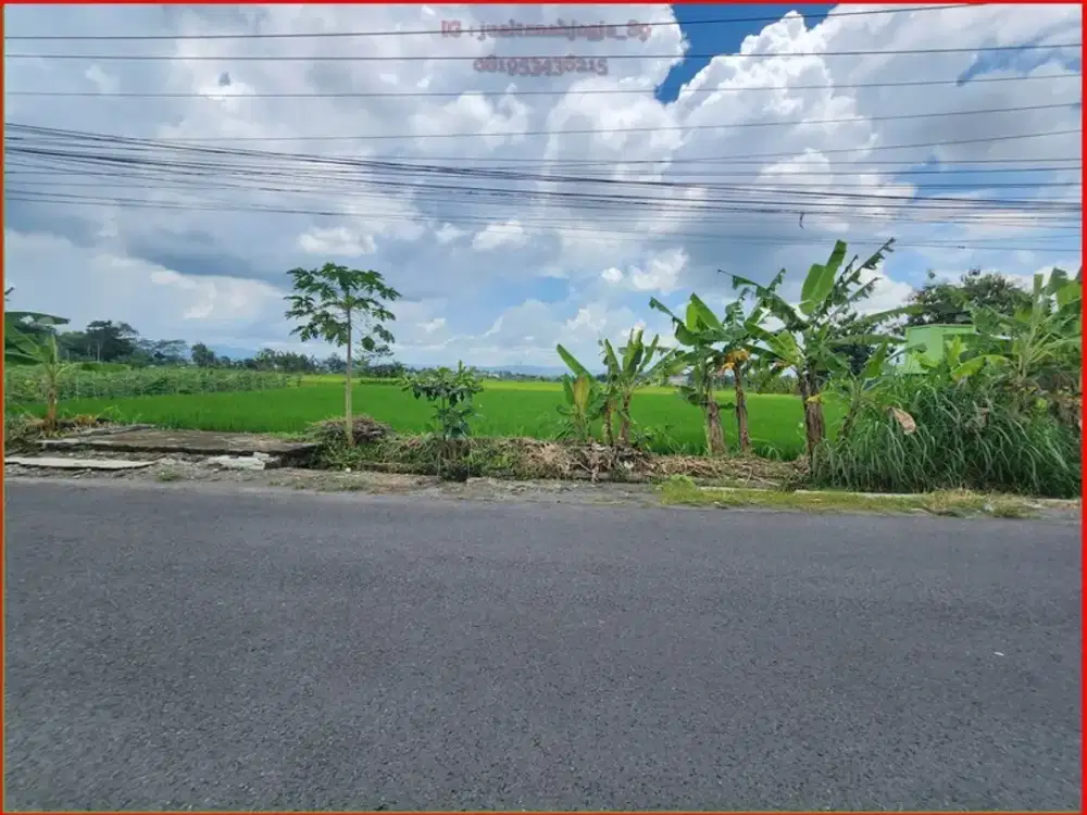 Tanah Purwomartani dijual tepi aspal Sambiroto akses aspal