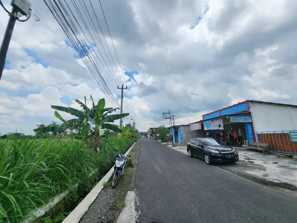 TANAH PURWOMARTANI di utara Pamela 7 tepi aspal Sambiroto