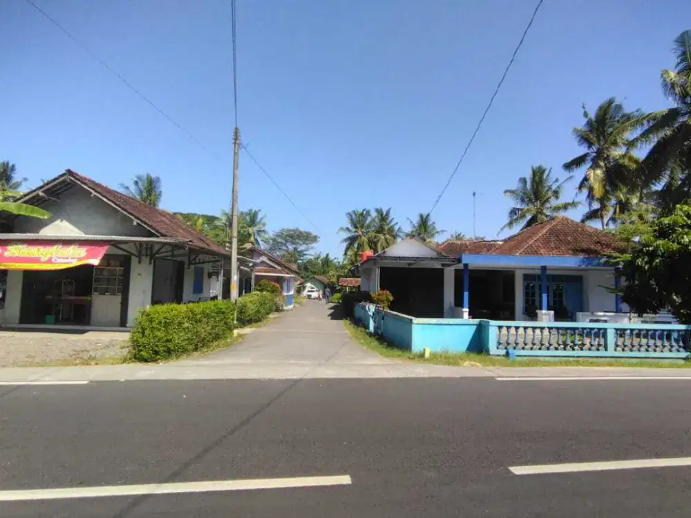 Tanah Tawangsari Kulonprogo dijual murah cocok Investasi