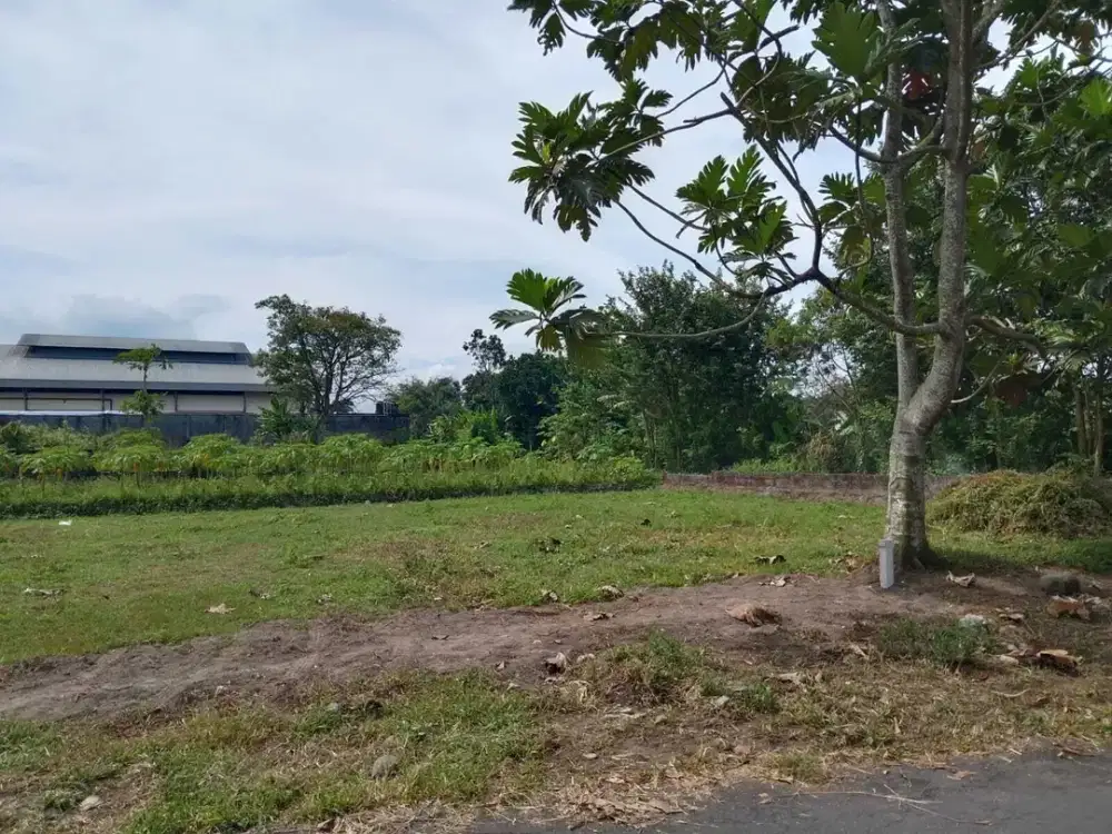 Tanah sleman dijual murah utara Kampus UGM di jl kaliurang km 10