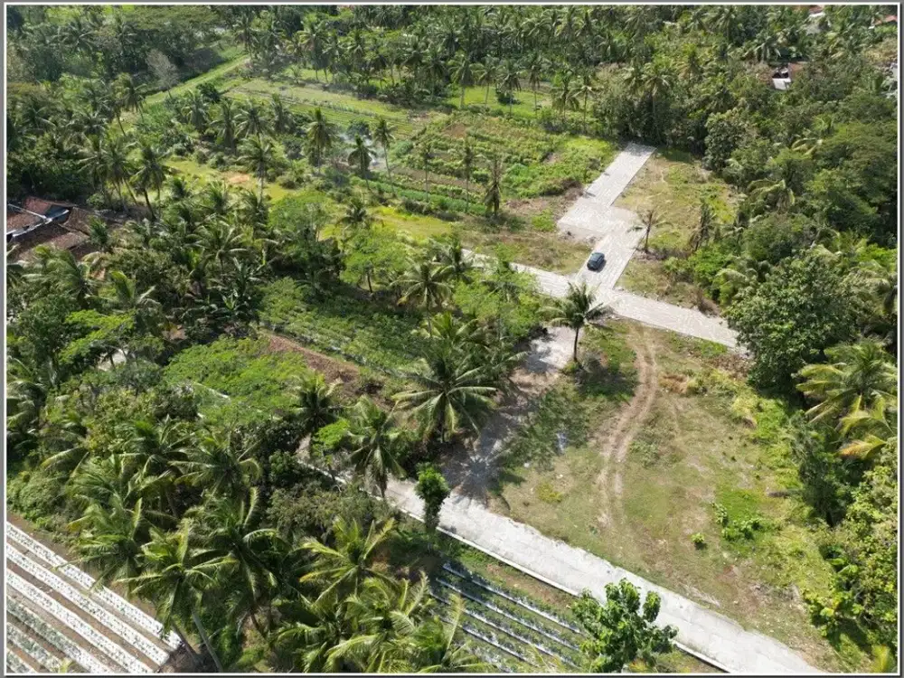 Kulonprogo wates, dekat kampus UAD wates. Dekat Polres Kulonprogo