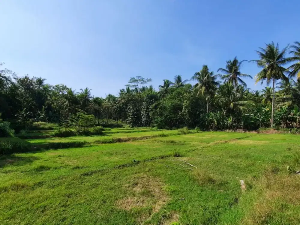Tanah Murah Jogja Nanggulan,90 jt-an. dekat RSUD Nyi Ageng Serang. Siap Bangun