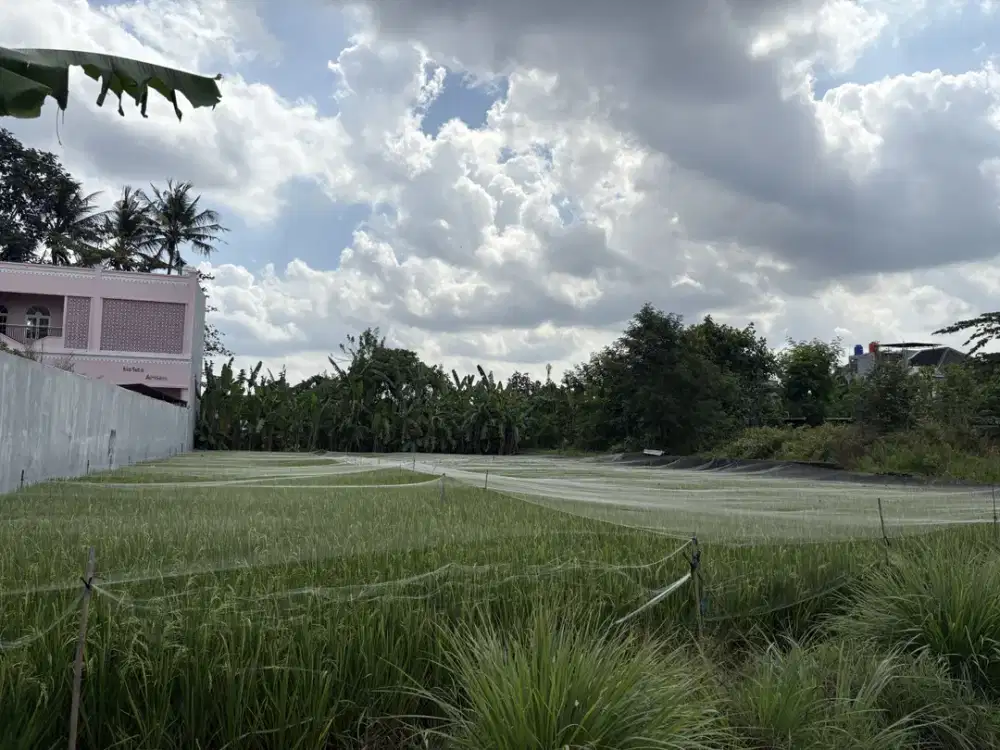 dekat Kampus Sanata Dharma; Tanah di Maguwoharjo Siap Bangun