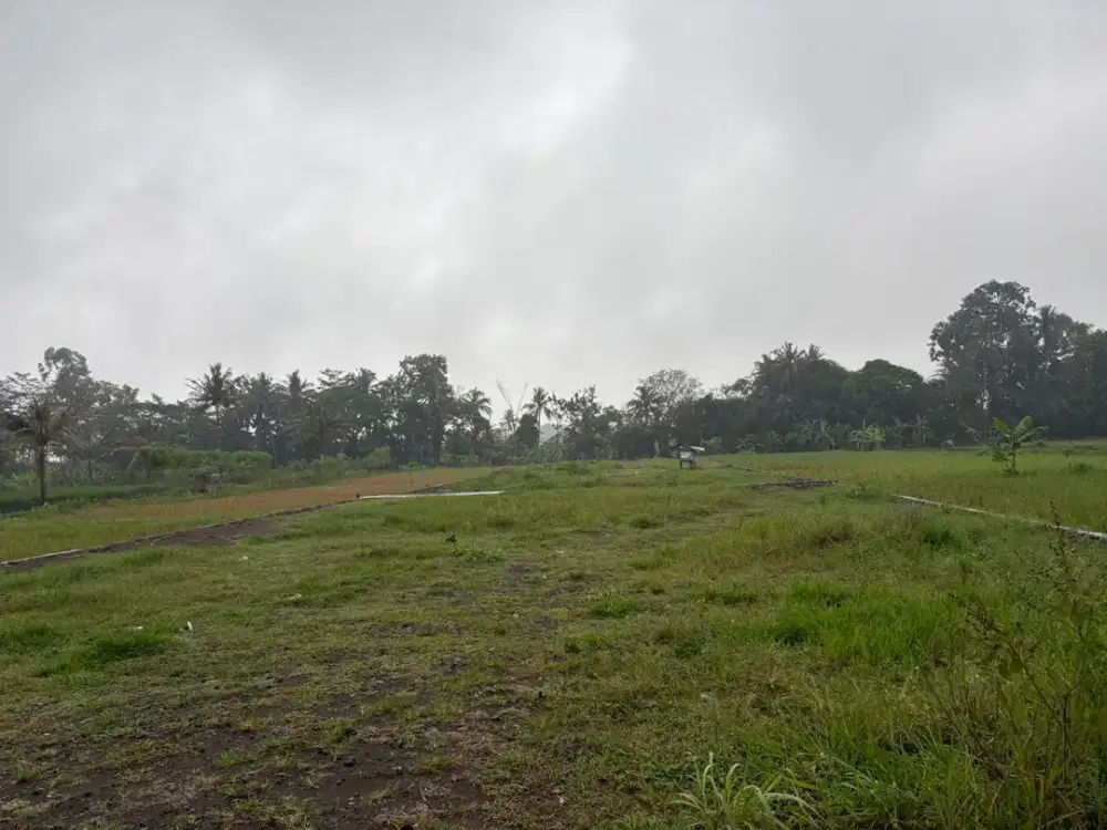 Jl. Kaliurang KM. 14; Tanah Siap Bangun; SHMP