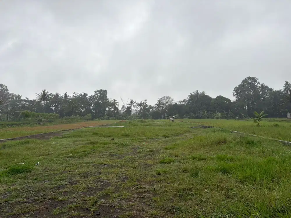 dekat PonPes Pandanaran; Tanah Kavling Siap Bangun; SHMP