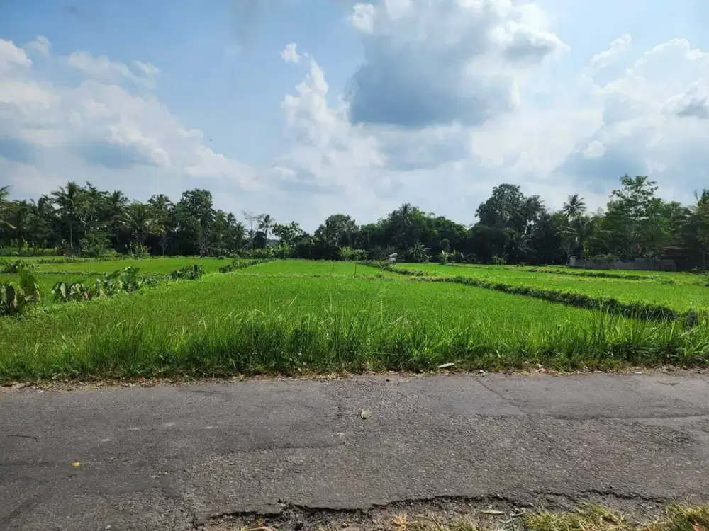 Rejodani Sleman; Tanah Siap Bangun; SHM