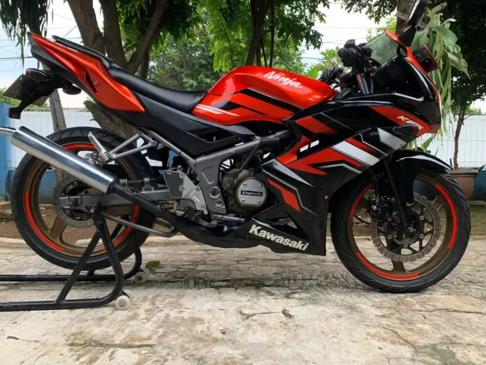 Kawasaki Ninja RR R 2015