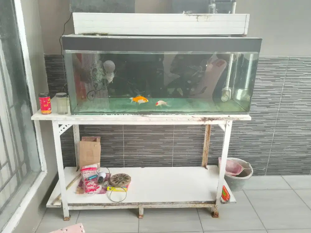 Aquarium 100*40*50 Fullset