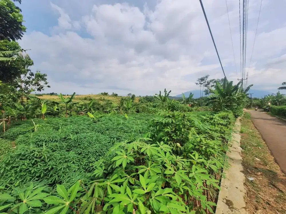 DIJUAL TANAH 1500 M COCOK  UNTUK  HUNIAN, KEBUN