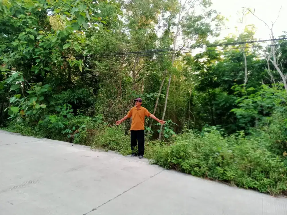 Jual tanah di pajangan Bantul