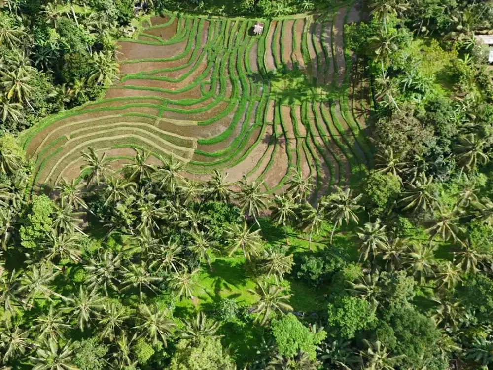 Tanah dengan view abadi sawah dan sungai zona kuning di tabanan bali