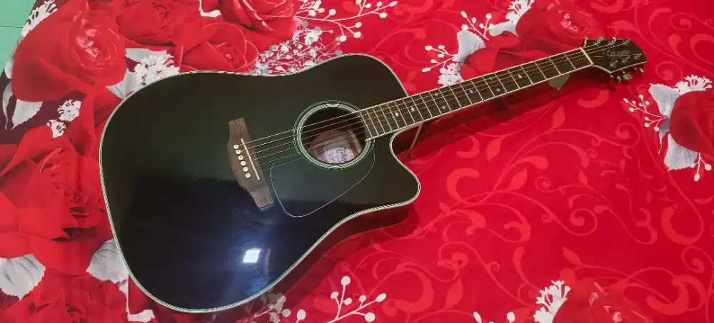 Takamine G series
