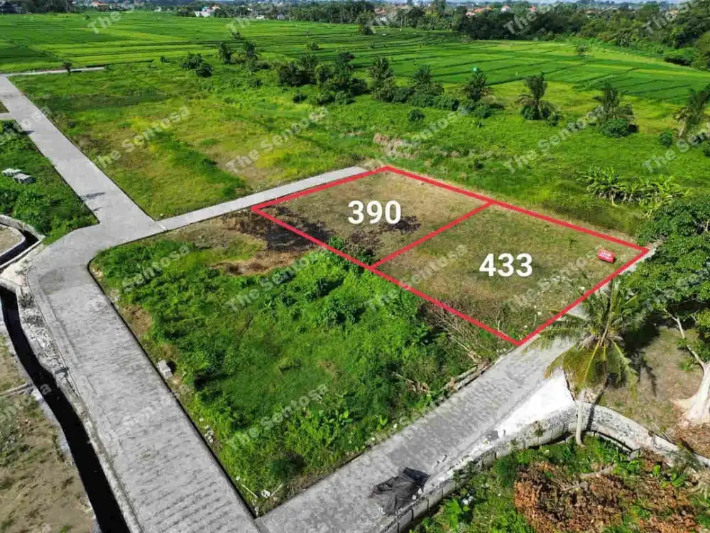 TANAH KEDUNGU Dekat NUANU PERERENAN CANGGU