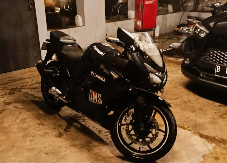 Ninja 250 Karbu Free peddock &amp; Knalpot Racing