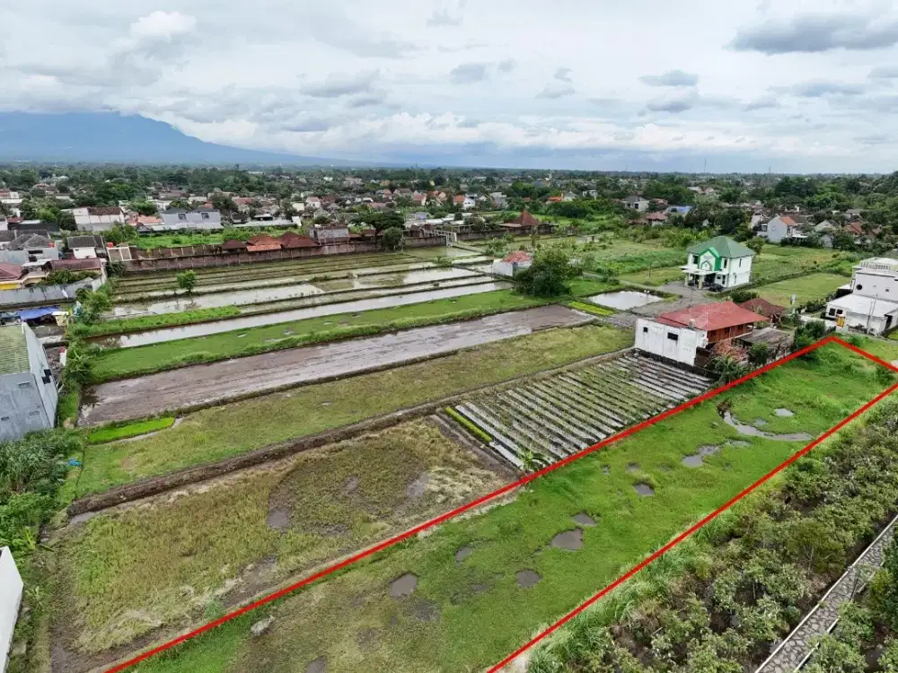 TANAH JOGJA DEKAT UGM cocok bangun rumah villa ,SHM P