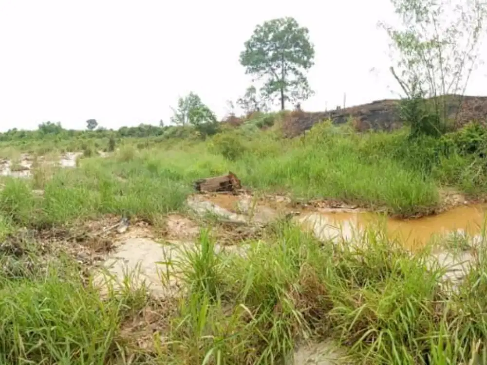Dijual tanah Juata Laut Tarakan, Kalimantan Utara.
