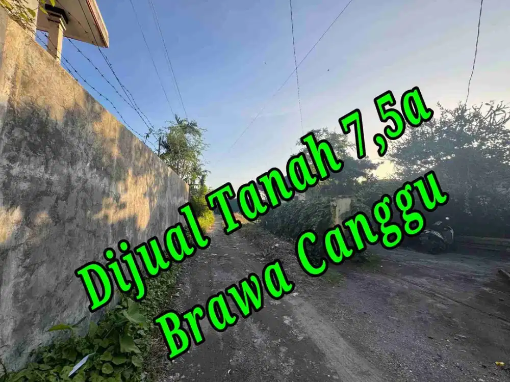 Dijual Tanah 7,5a di area Jln Pantai Brawa Canggu Bali