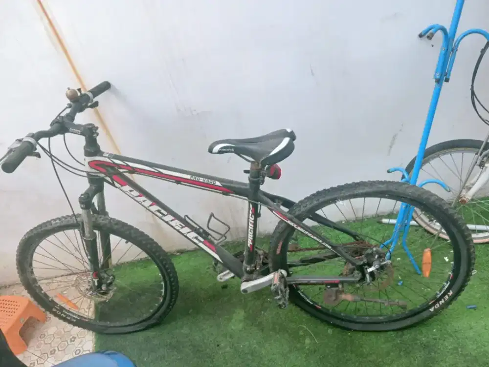 Sepeda pacipic pro-X 900