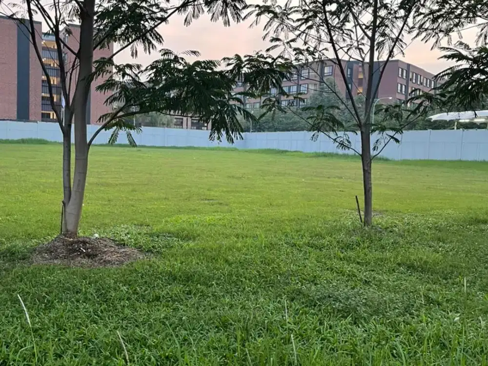 Disewakan Cepat Kavling Komersil Di Jalan Boulevard Alam Sutera Tangerang