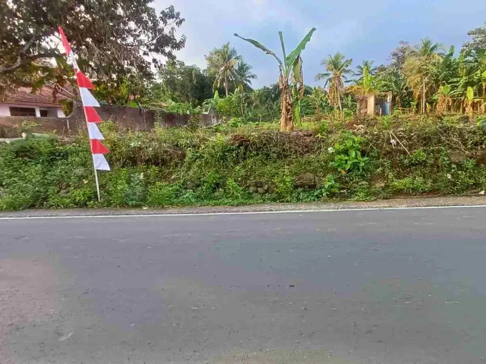 Tanah kosong Kedungwuluh Patikraja Banyumas dekat stasiun Notog