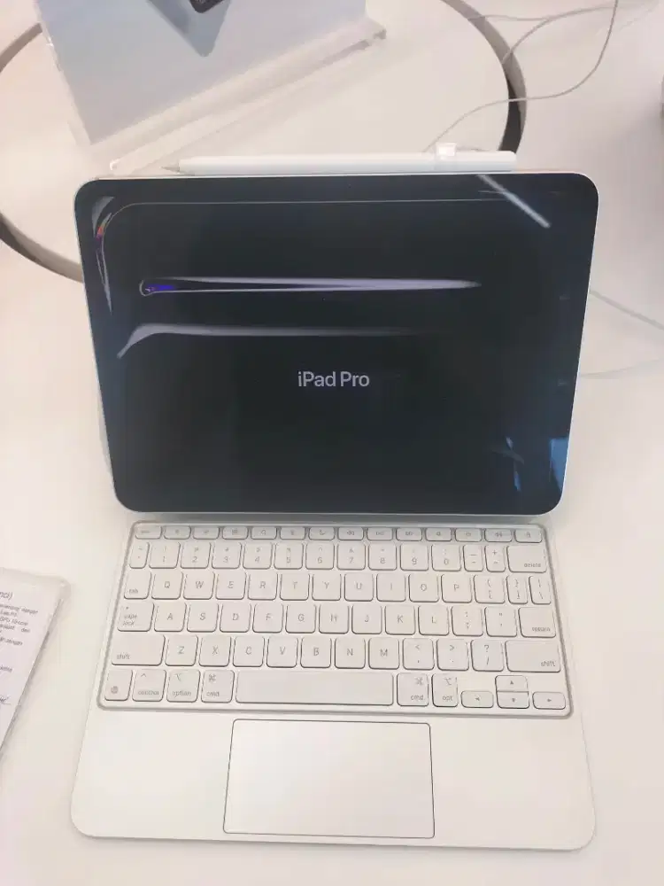 iPad pro M4 11 inci wifi