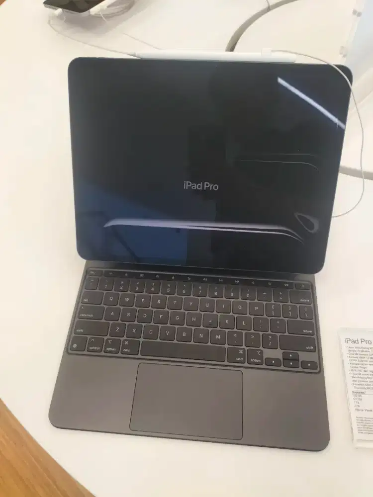 iPad pro M4 13 inchi wifi