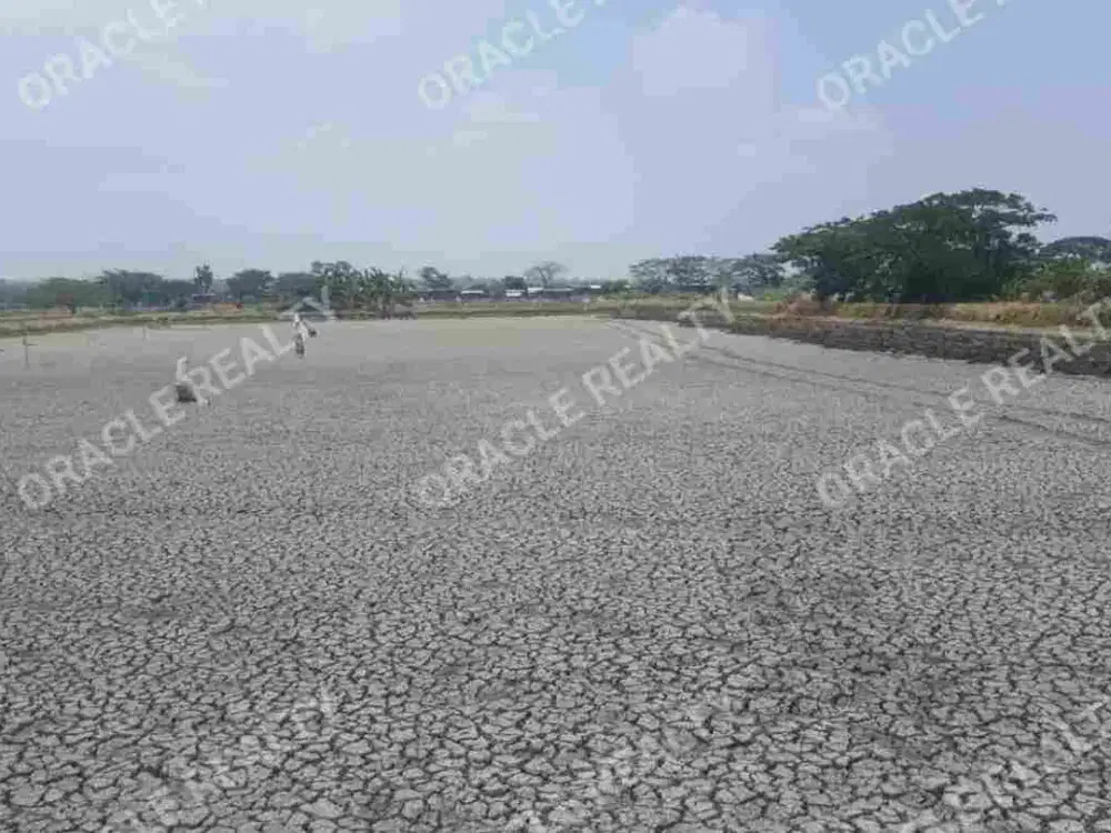 Jual Tanah Lahan Industrial Jl Raya Bungah, Gresik