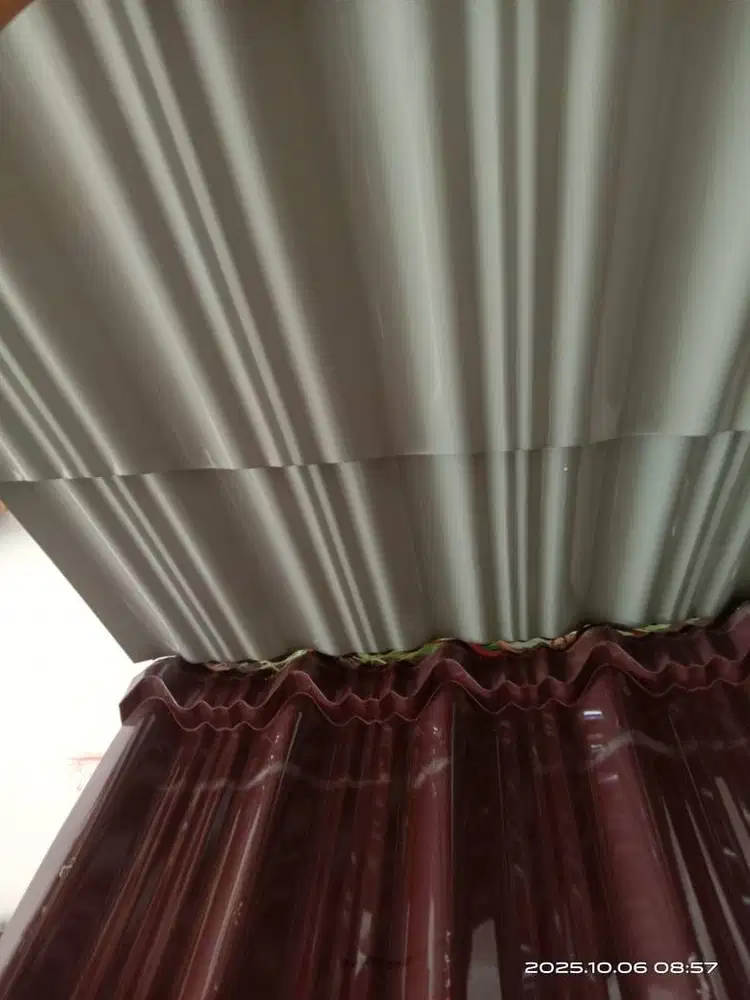 sakura elang deli brown