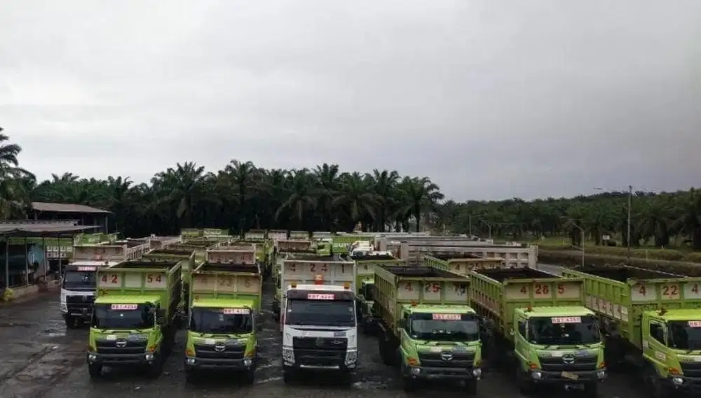 HINO 500 (2022) FM 260JD DT DUMP TRUCK