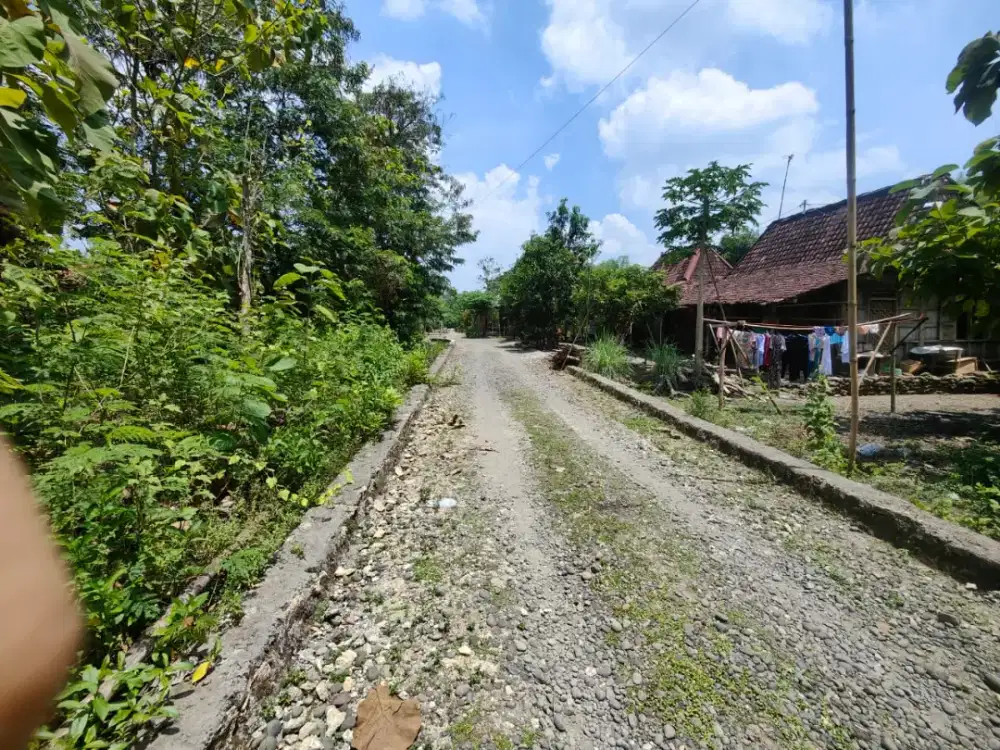 Jual tanah pekarangan lokasi tanon Sragen lt 1570m hrg 300jt nego