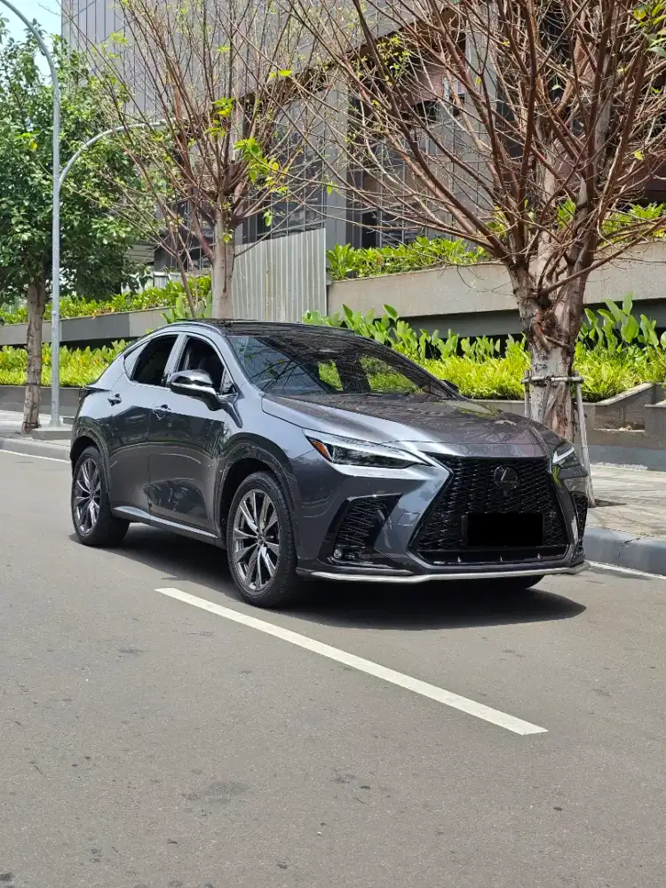 CASH! Lexus NX350h F-Sport 2023