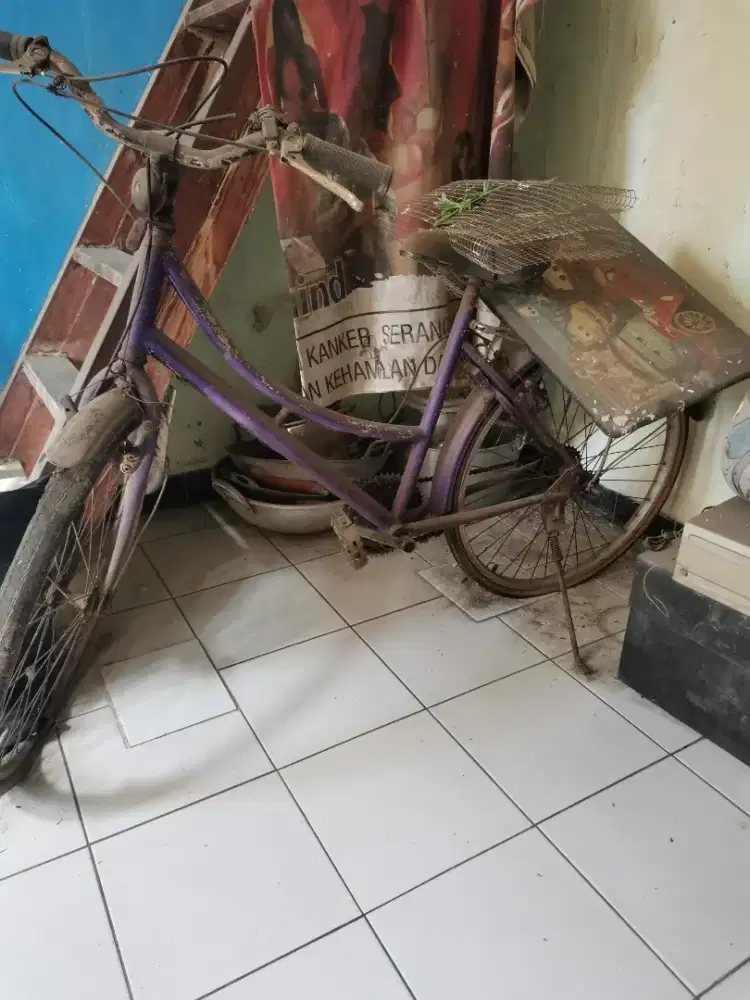 Sepeda bekas apa adanya