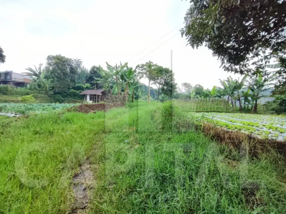 TURUN HARGA LAGI MURAH DIBAWAH HARGA PASAR TANAH DI KAWASAN SEJUK SAYAP SETIABUDI REGENCY