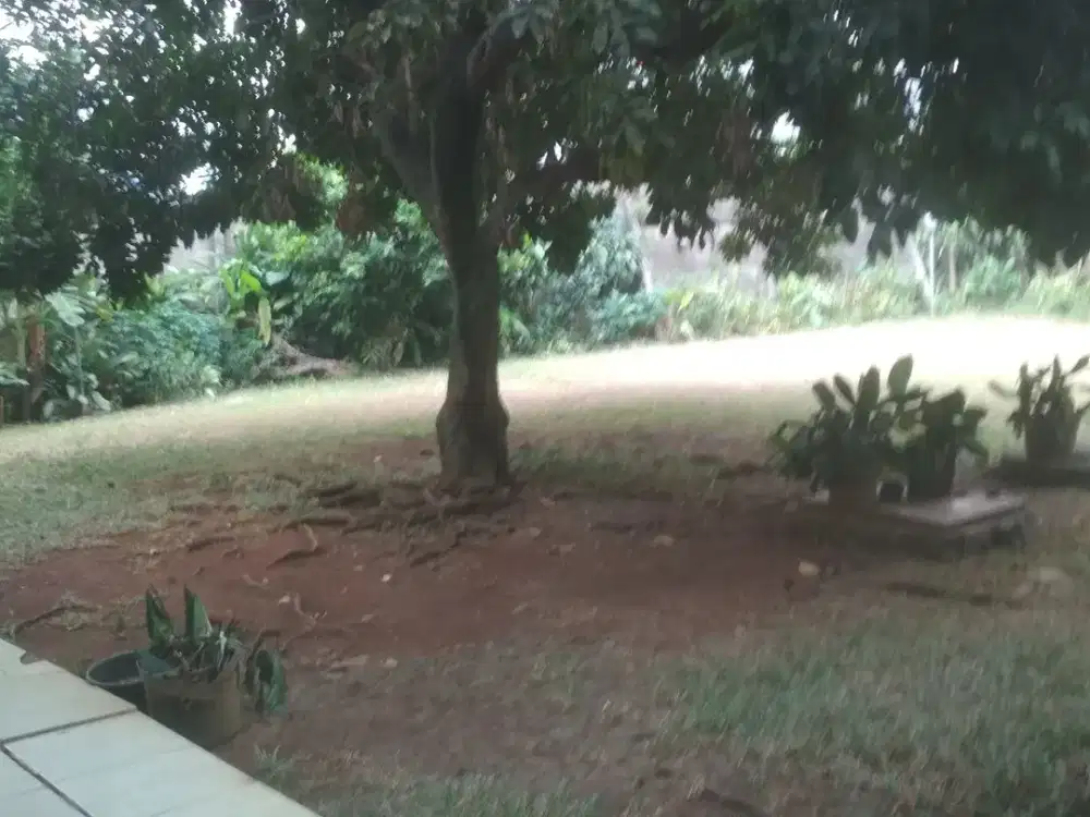 Rumah Cipete Selatan dekat ke Cipete raya Lt, 1276 m2 / Lb, 400 m2 , 18,5 M