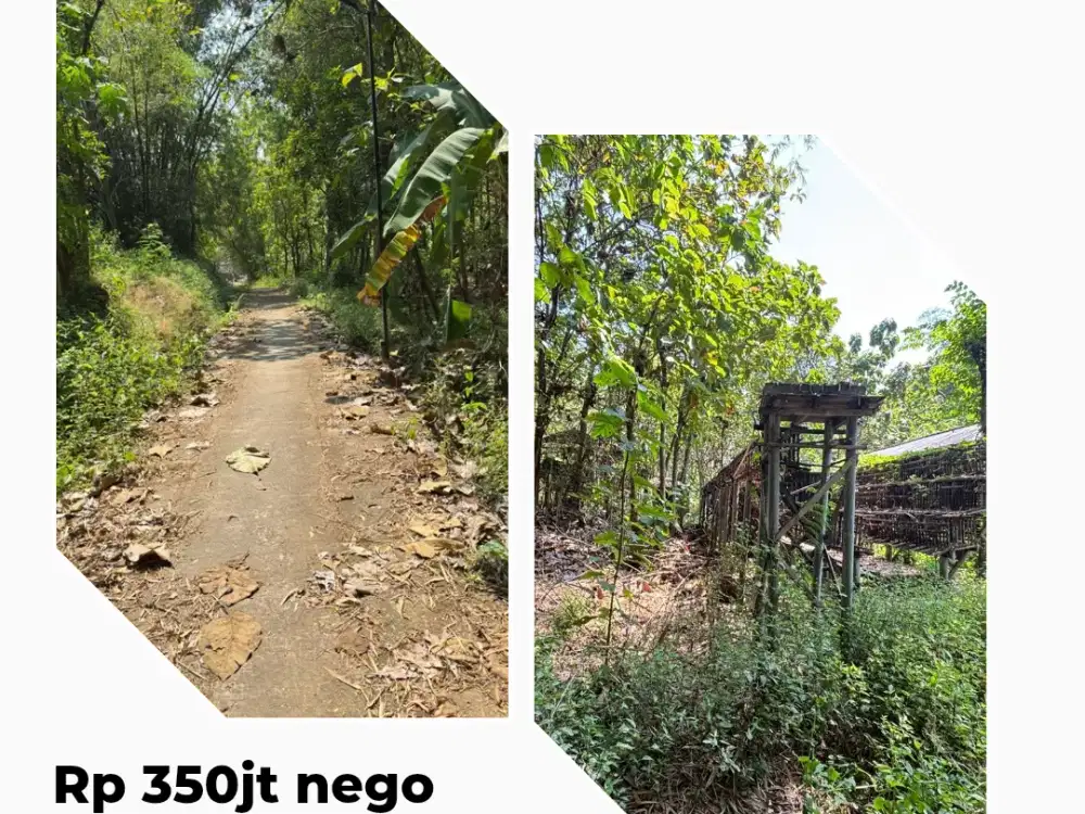 DIJUAL TANAH PEKARANGAN MURAH Spec Kandang Ayam