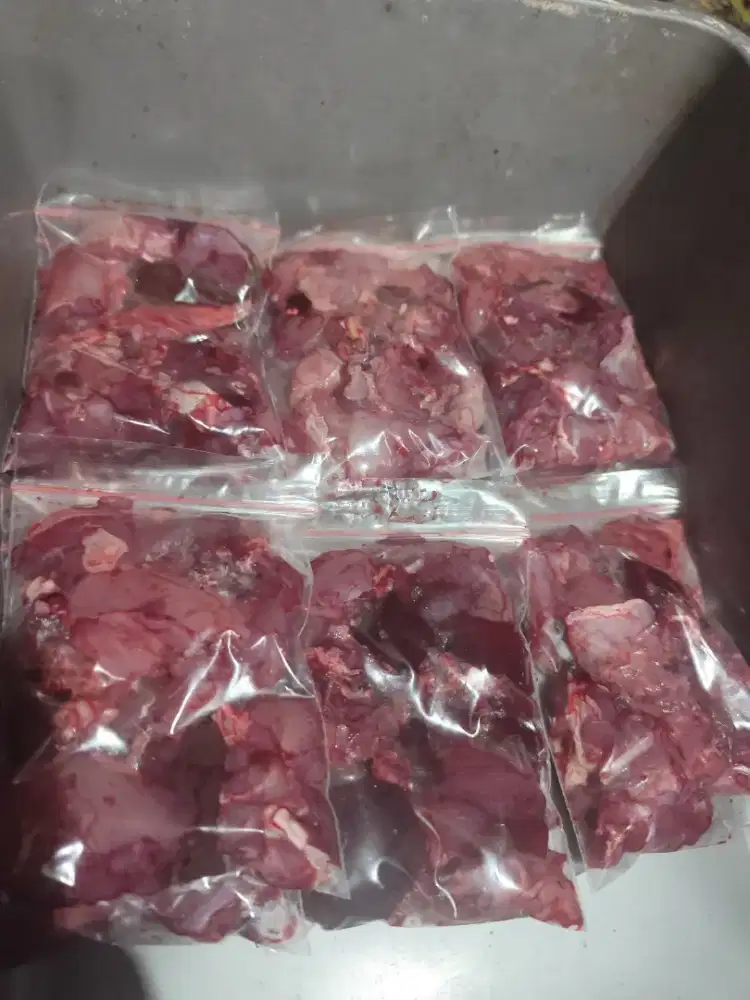Daging untuk obat asma dan gatal