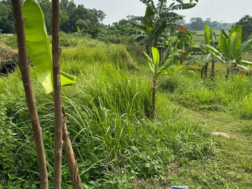 DIJUAL TANAH RESIDENTIAL SIAP BANGUN di Di DAERAH CIBARUSAH KABUPATEN BEKASI JAWA BARAT