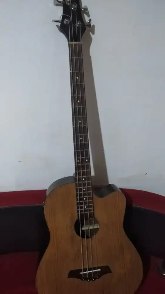 Bass akustik alegro