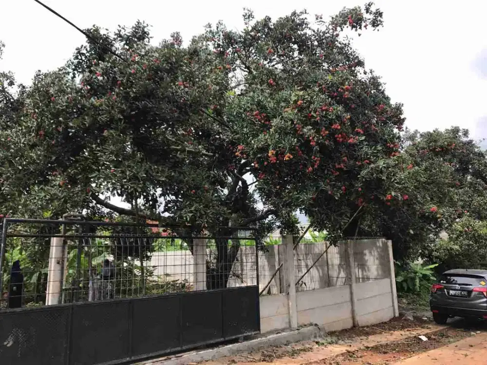 Di jual kavling belakang Mitra 10 cibubur bekasi